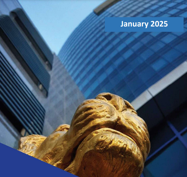 Read more about the article Market Movement Report January 2025